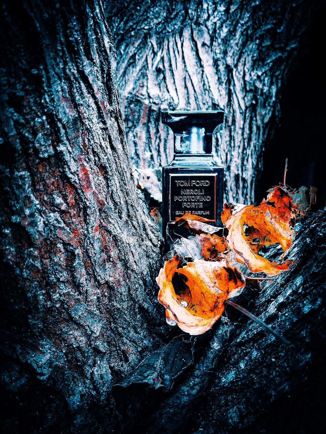 Tom Ford Neroli Portofino Forte