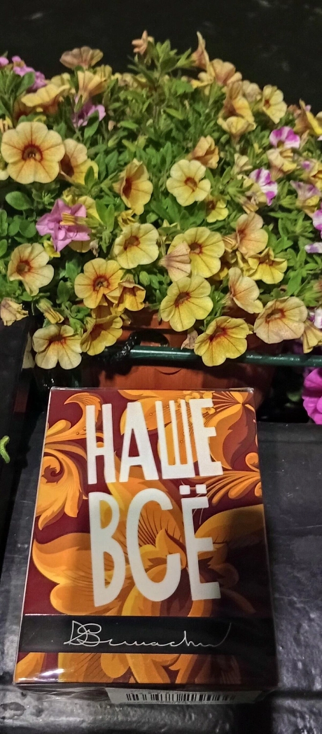 Denis Simachev Our Everything (Наше Все)