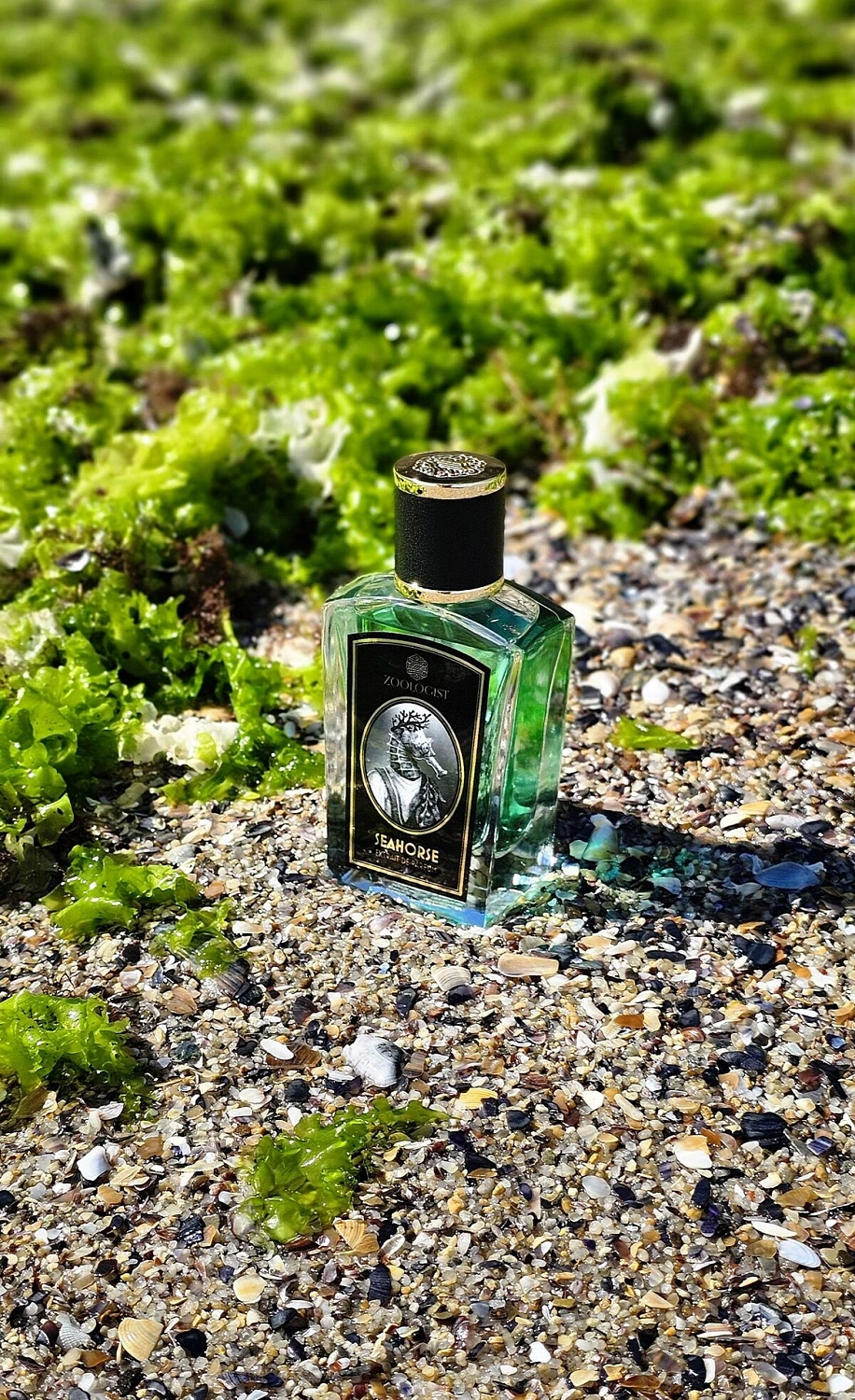 Zoologist Perfumes Seahorse