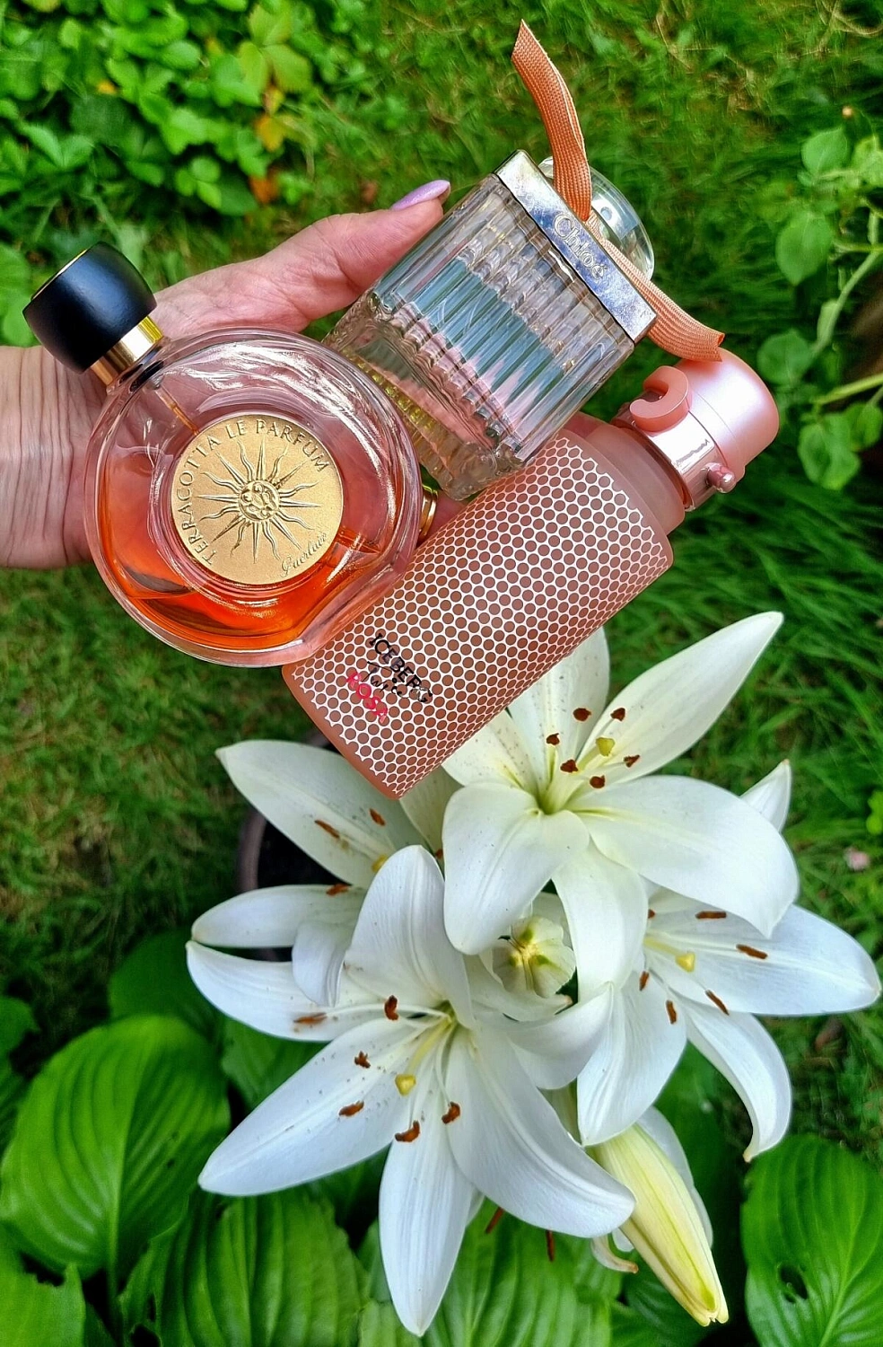 Iceberg Twice Rosa For Her