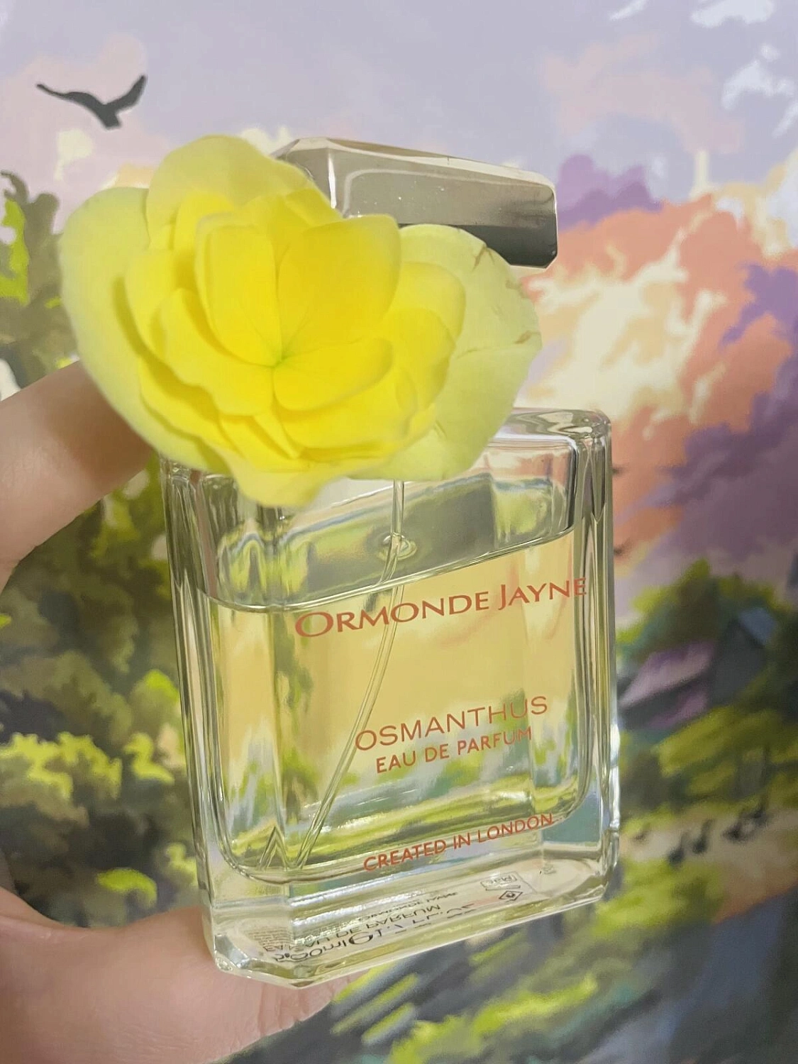 Ormonde Jayne Osmanthus