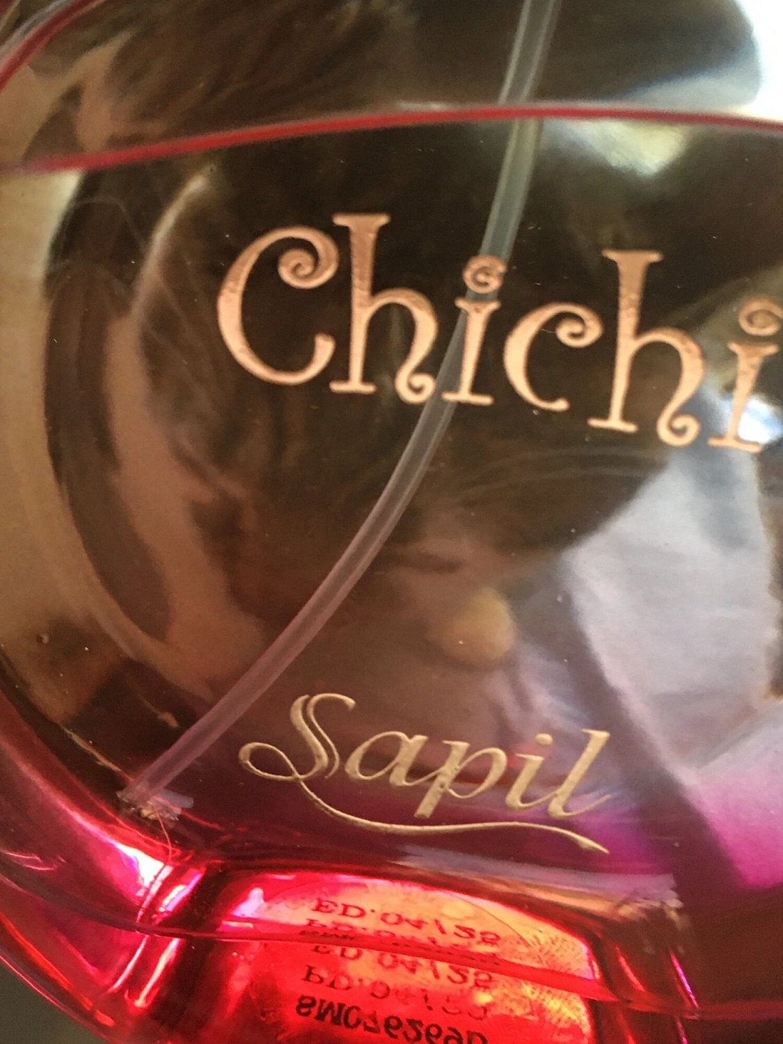 Sapil Chichi