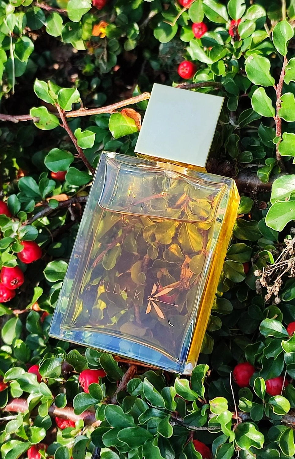 Ella K Parfums Reflet Sur L'Okavango