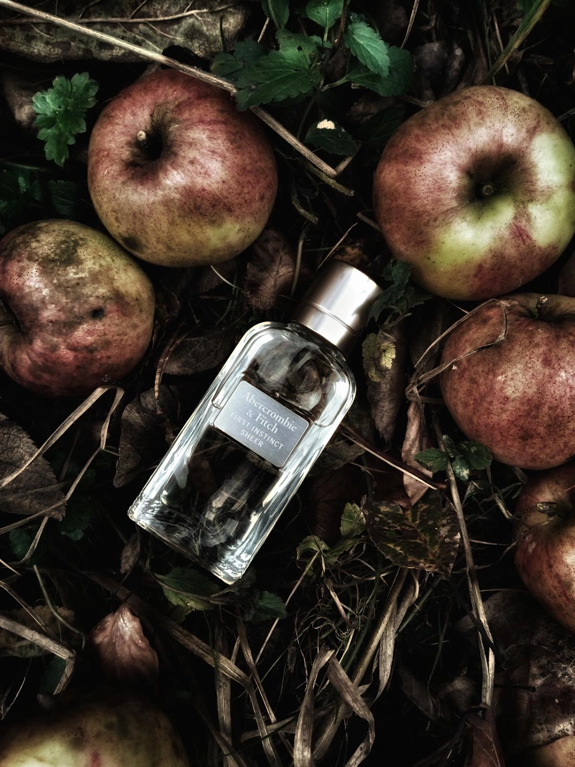 Abercrombie & Fitch First Instinct Sheer