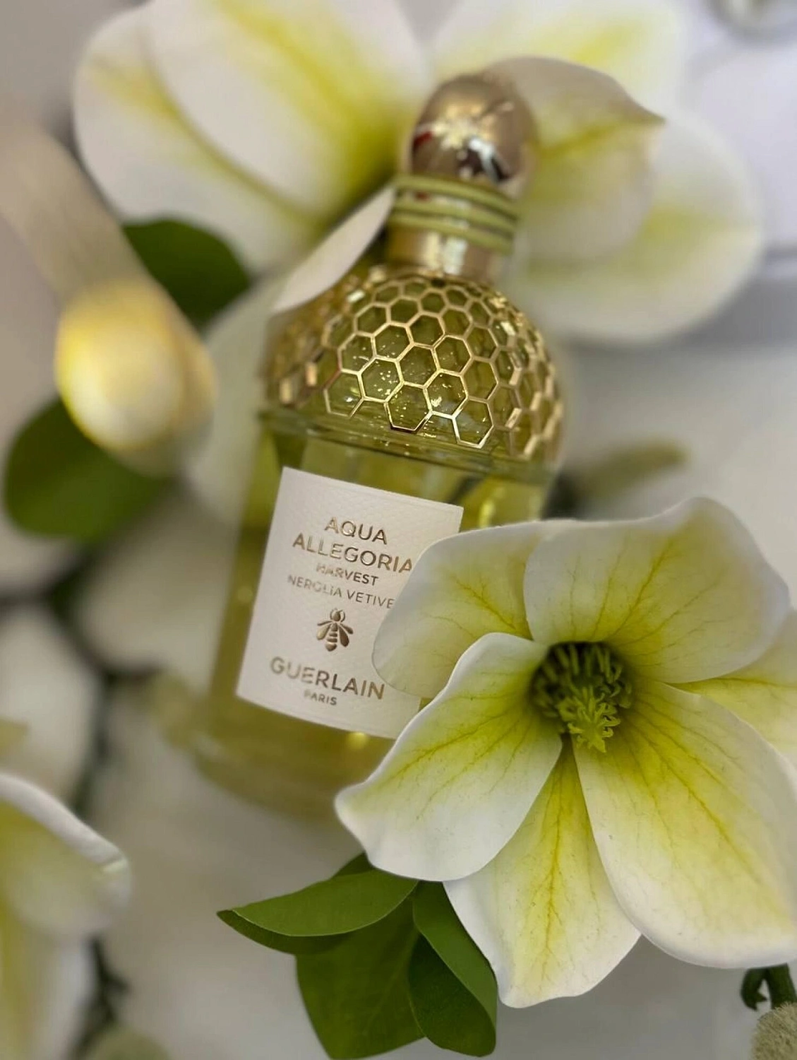 Guerlain Nerolia Vetiver Harvest