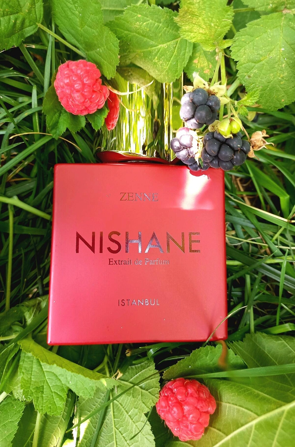 NISHANE Zenne NISHANE Zenne