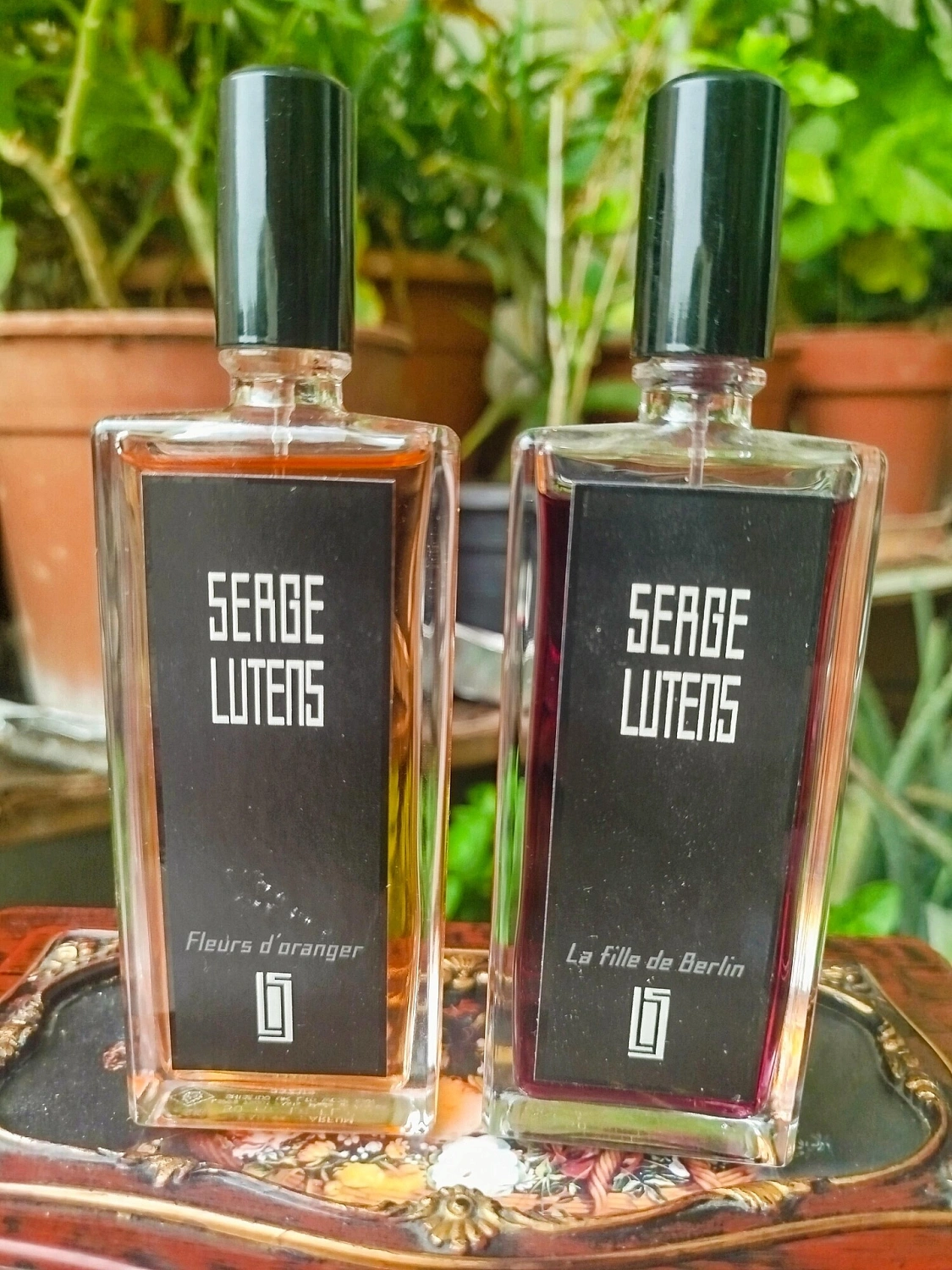 Serge Lutens Fleurs d'Oranger