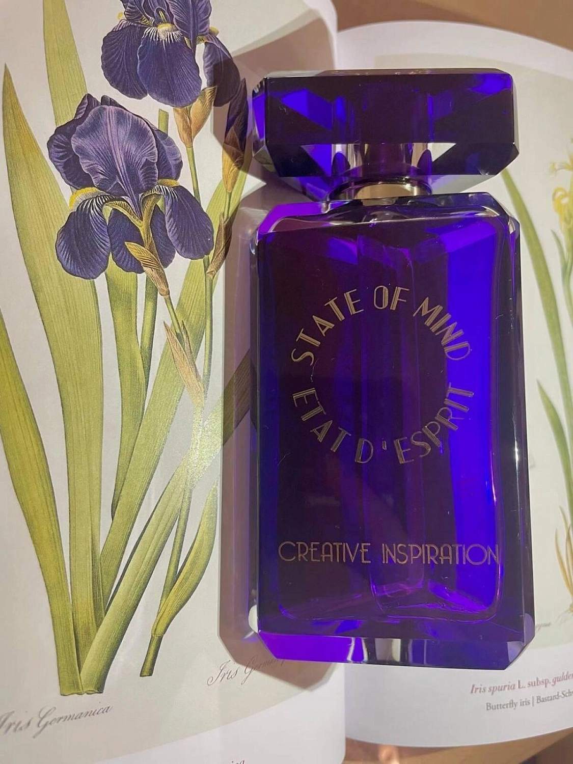 State of Mind Creative Inspiration