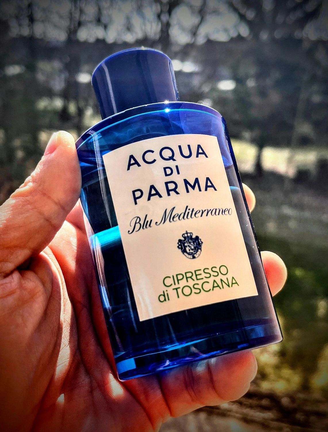 Acqua di Parma Cipresso di Toscana