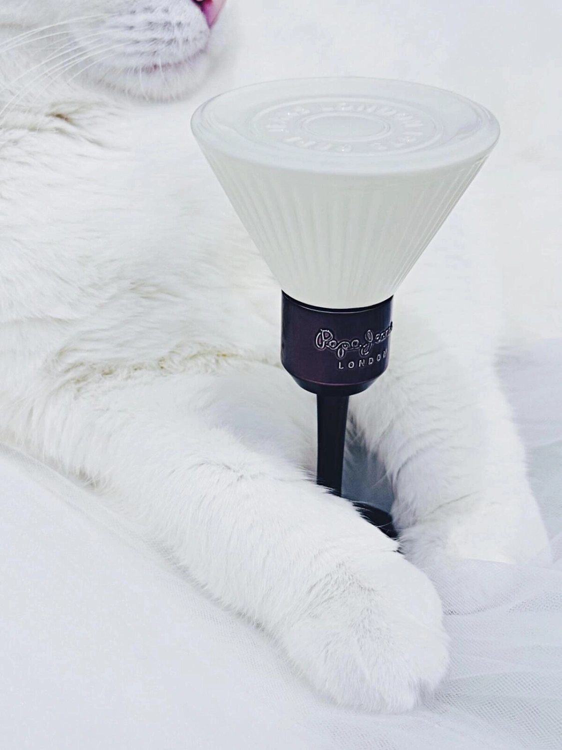 Pepe Jeans London Addictive Indulgence For Her