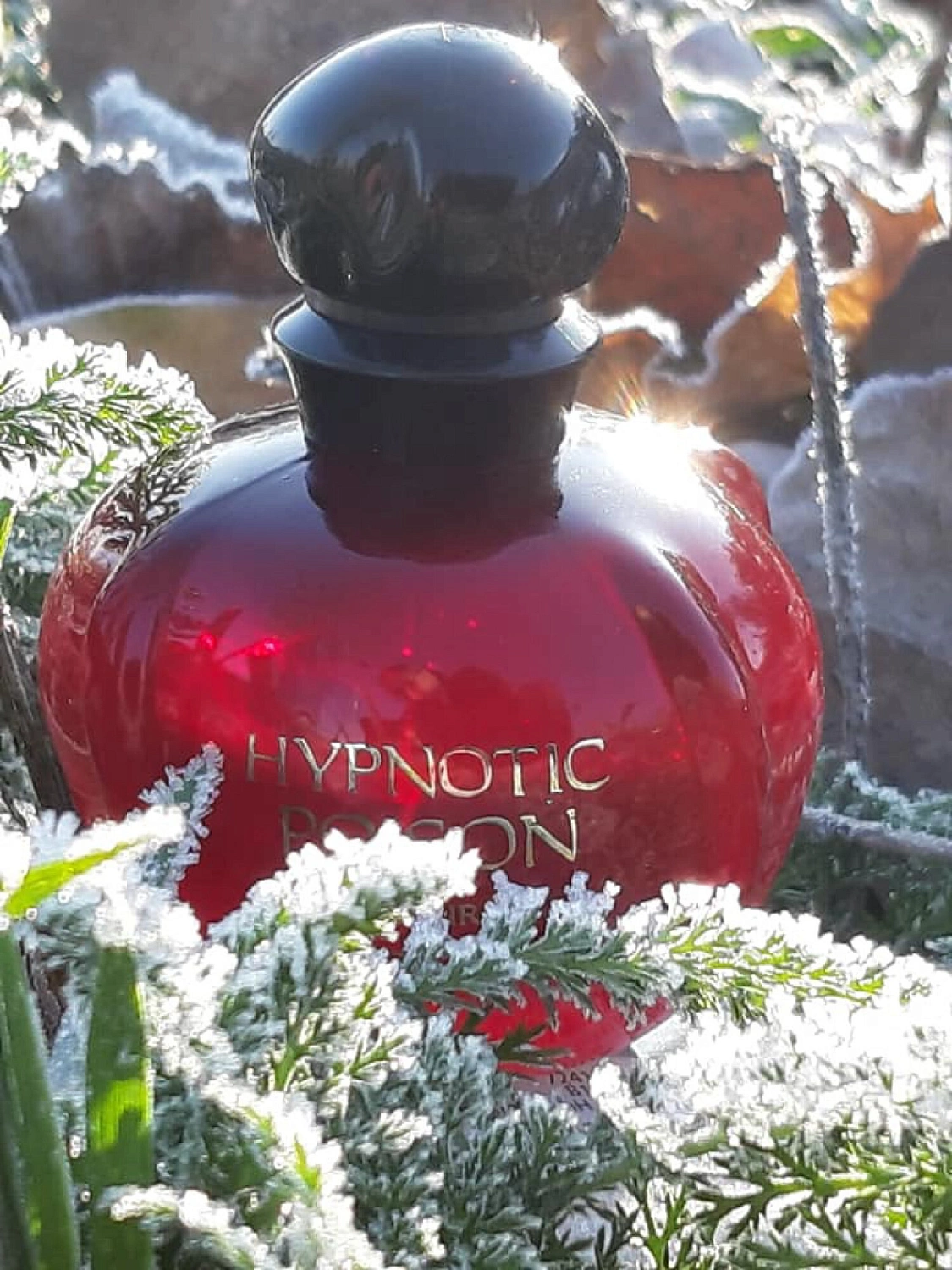 Christian Dior Elixir Hypnotic Poison