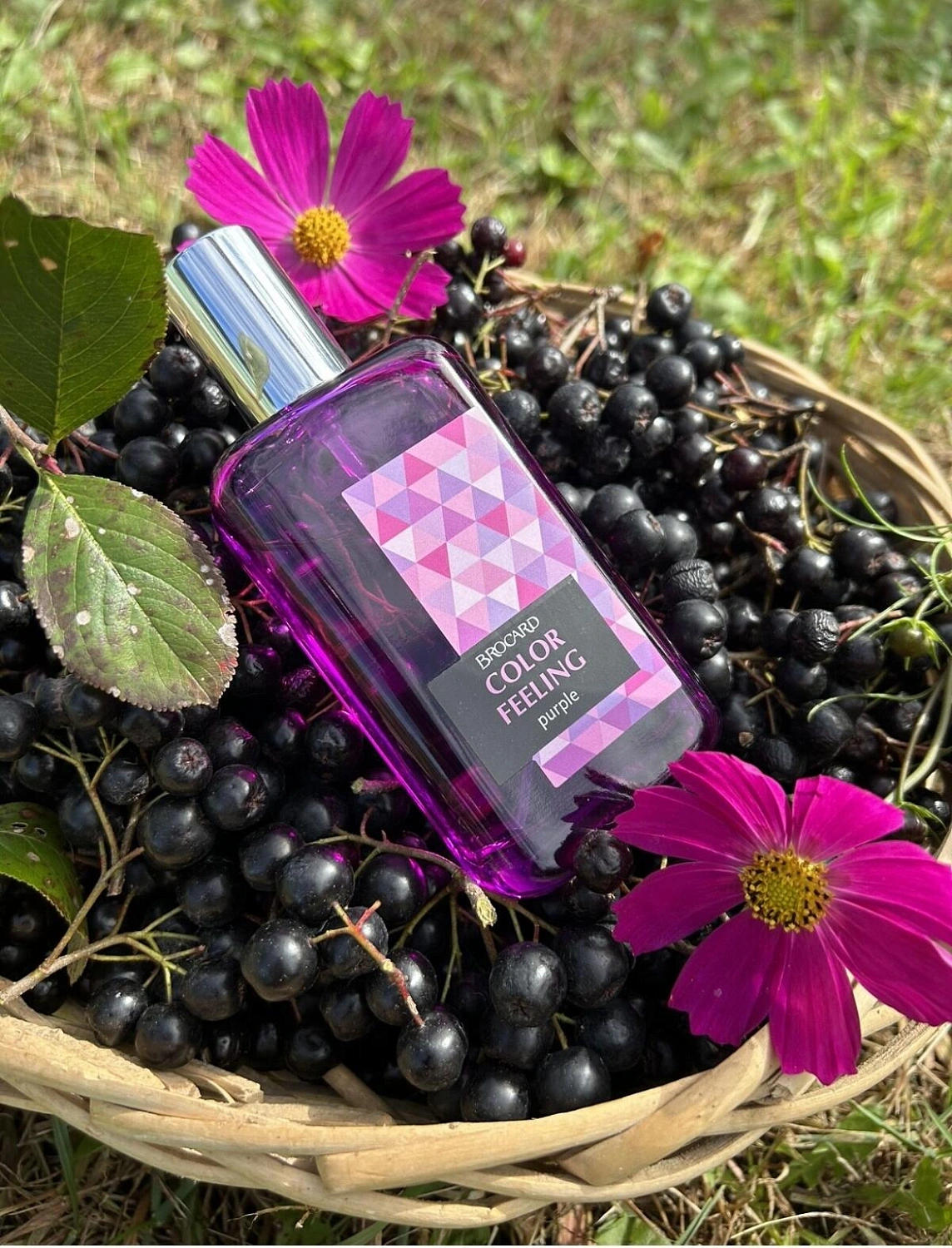 Brocard Color Feeling Purple