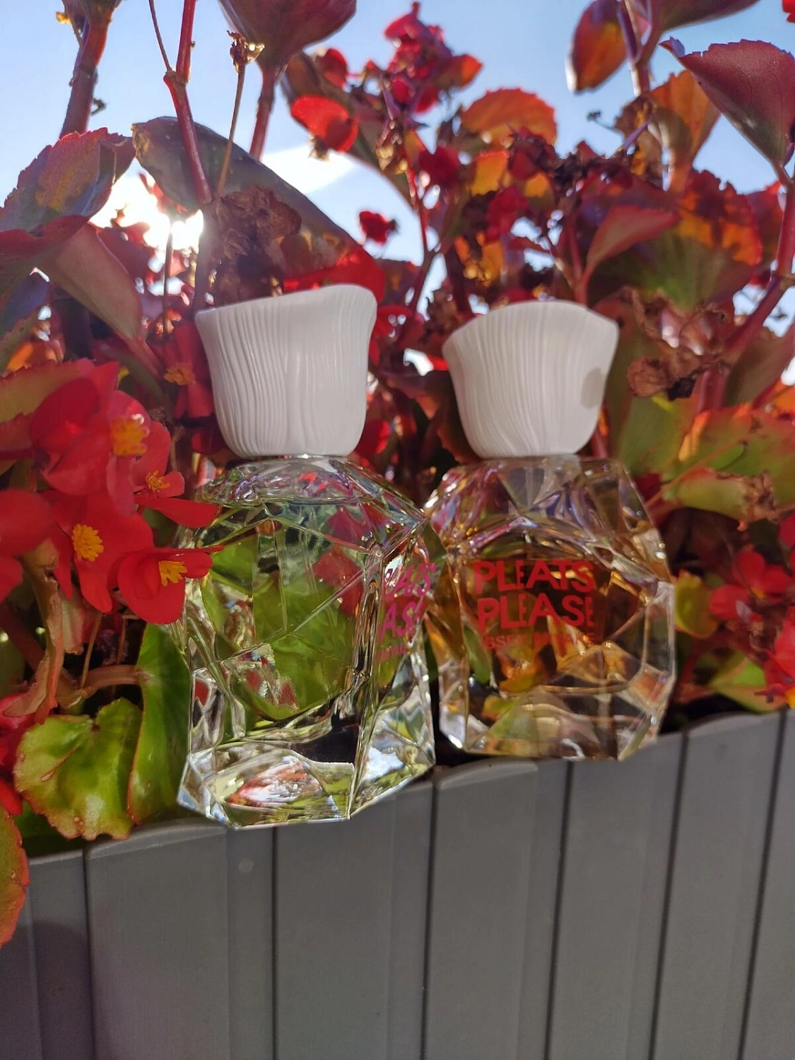 Issey Miyake Pleats Please