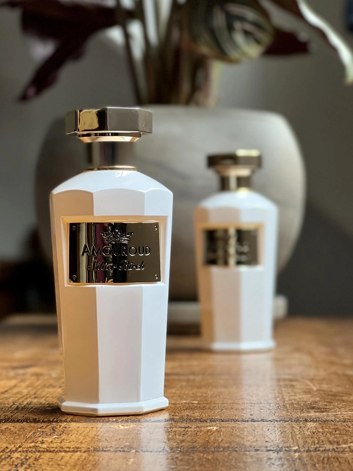 Amouroud Silver Birch