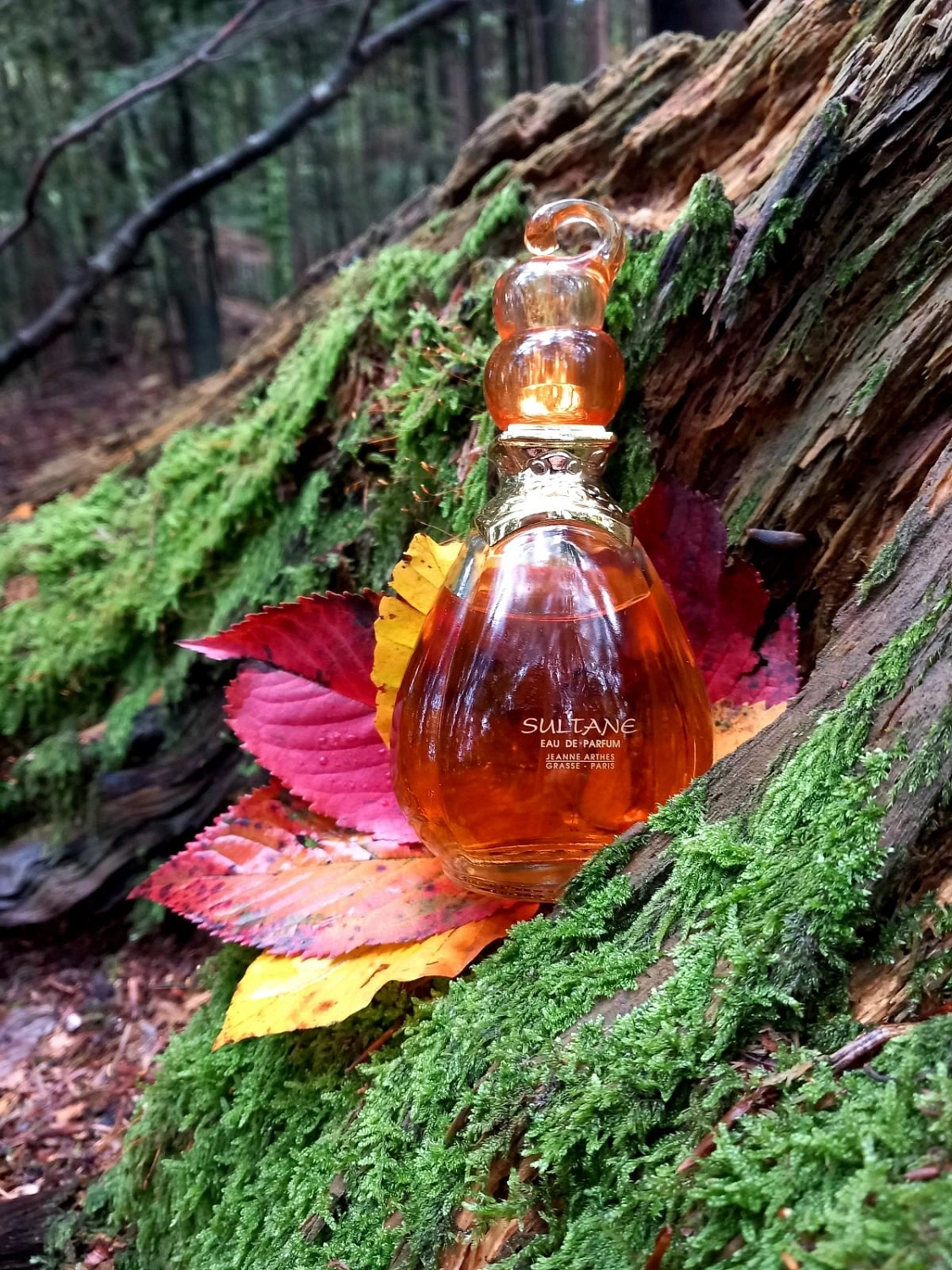 Jeanne Arthes Sultane