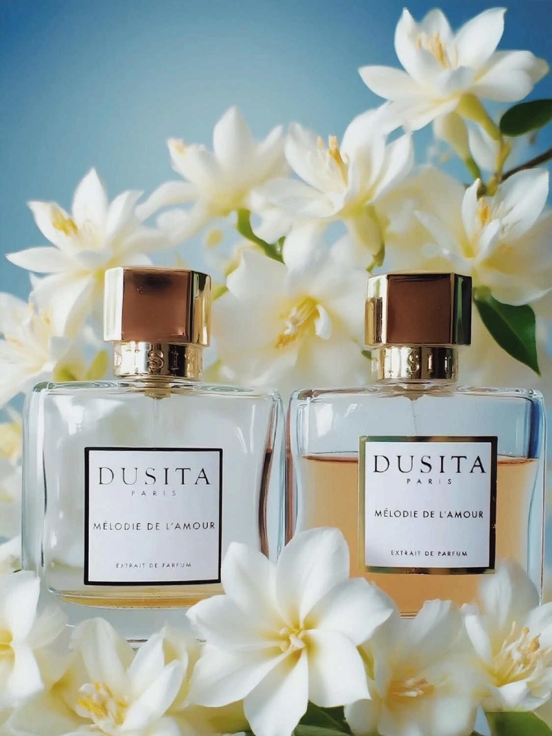 Dusita Melodie de L'Amour