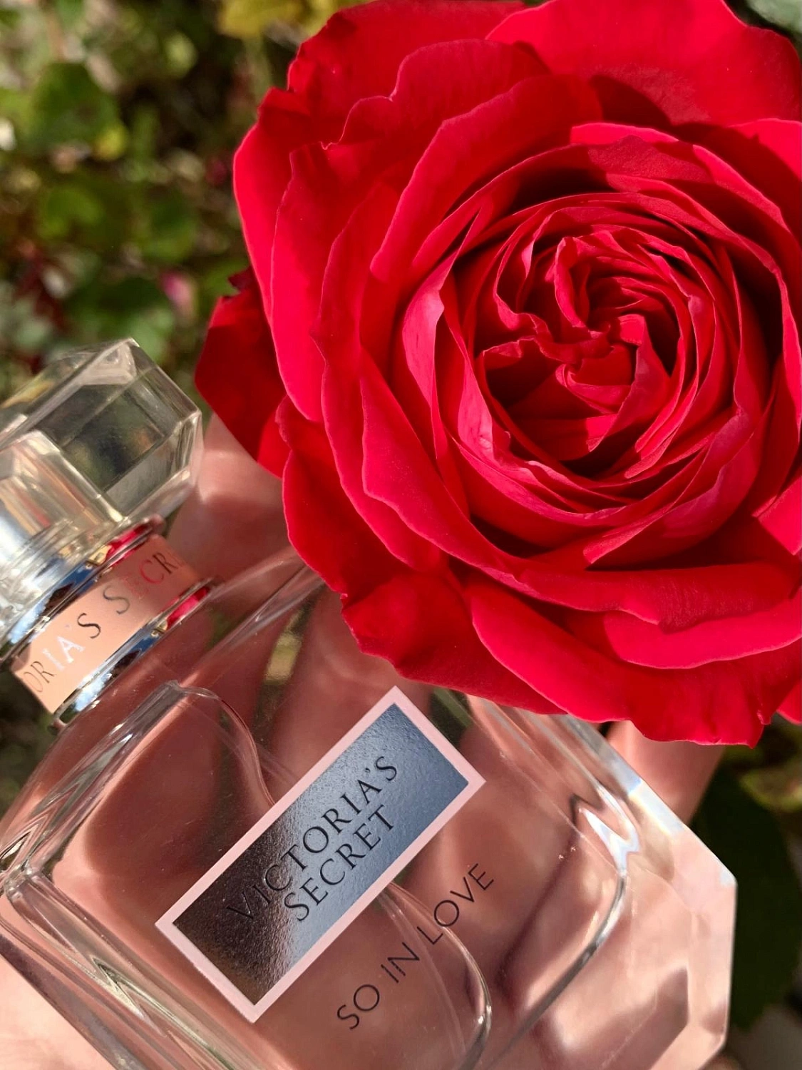 Victoria`s Secret So In Love