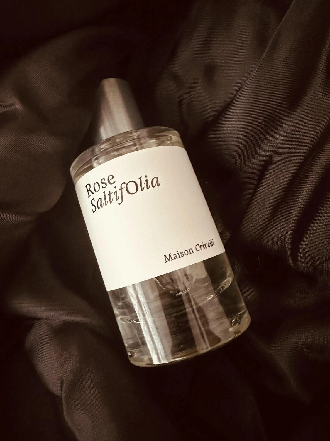 Maison Crivelli Rose SaltifOlia