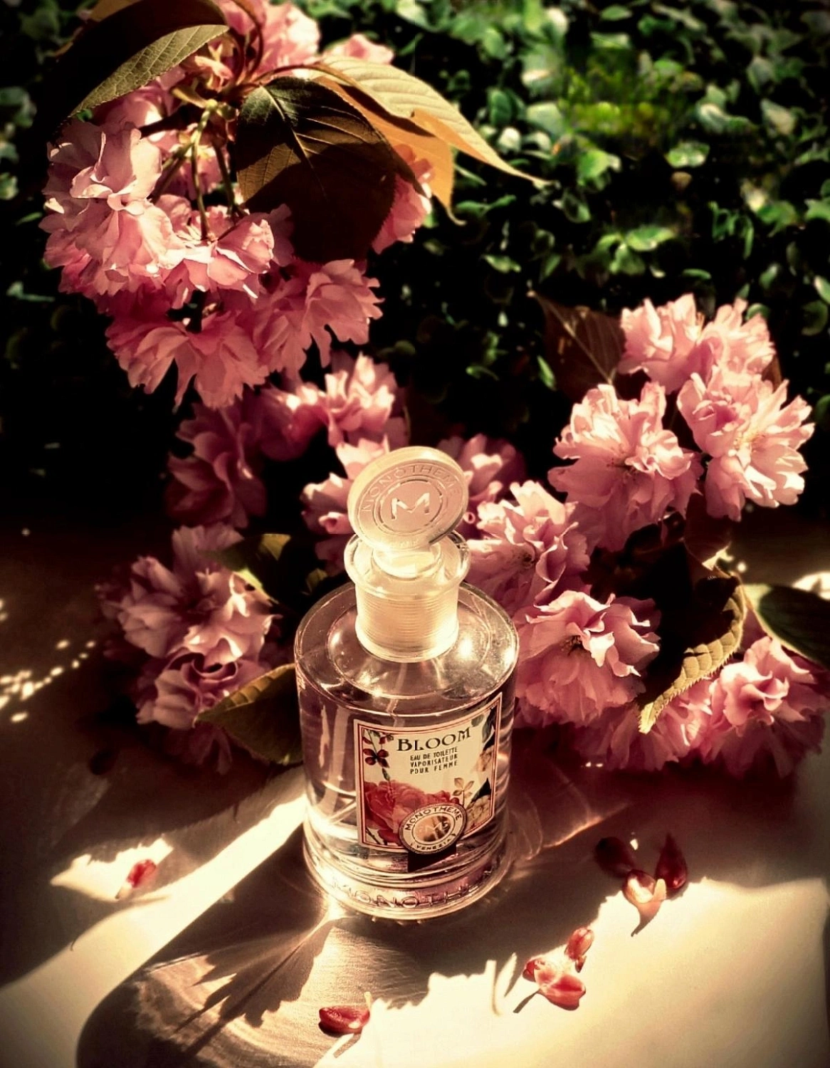 Monotheme Fine Fragrances Venezia Bloom Pour Femme Monotheme Fine Fragrances Venezia Bloom Pour Femme