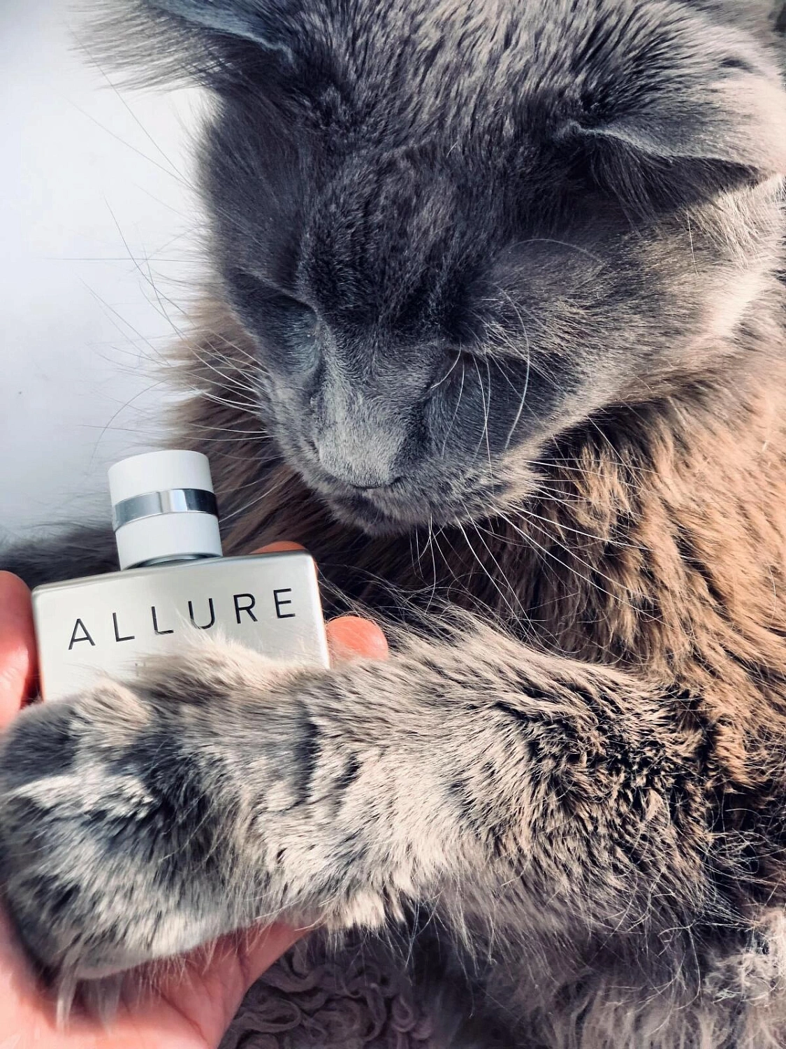 Chanel Allure Homme Edition Blanche Eau de Parfum