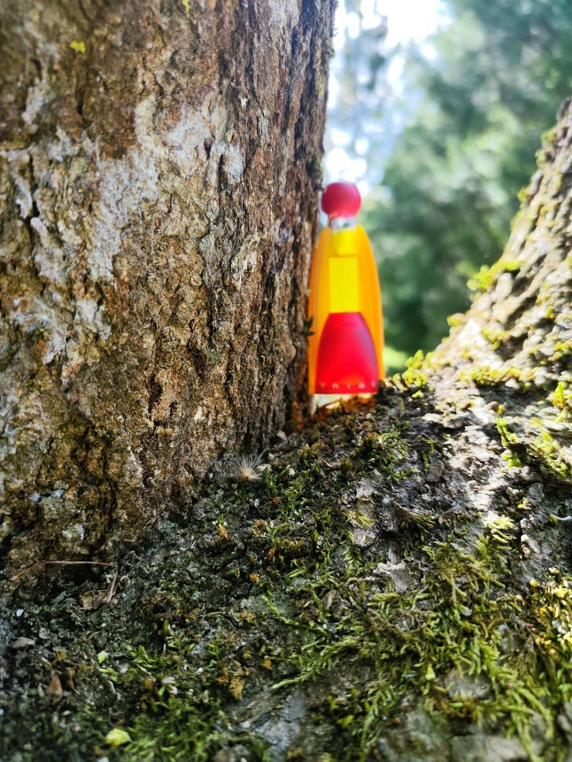 UNITED COLORS OF BENETTON Tribu