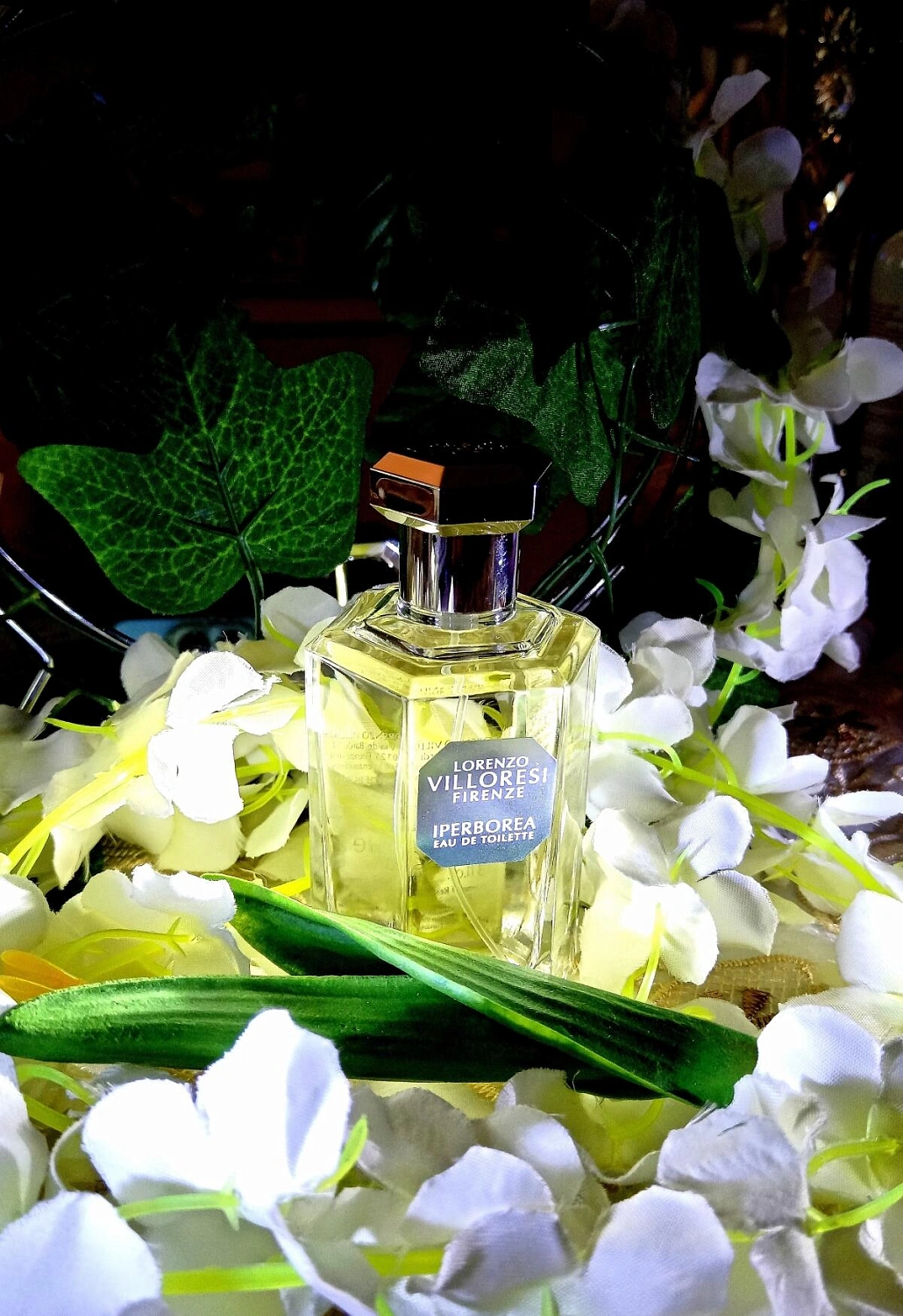 Lorenzo Villoresi Iperborea