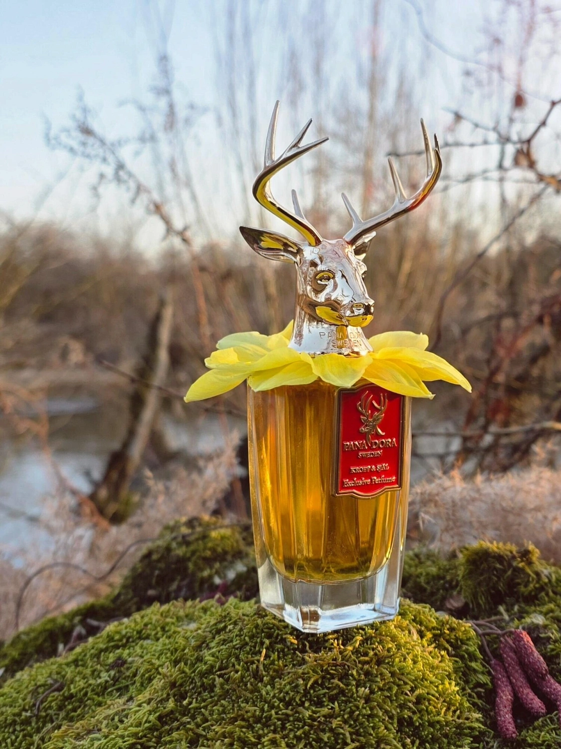 Pana Dora Kropp Och Sjal