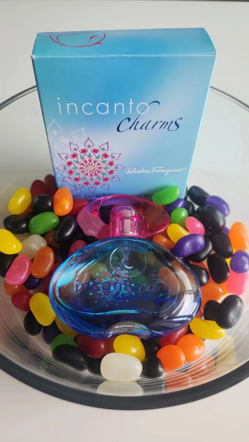 Salvatore Ferragamo Incanto Charms