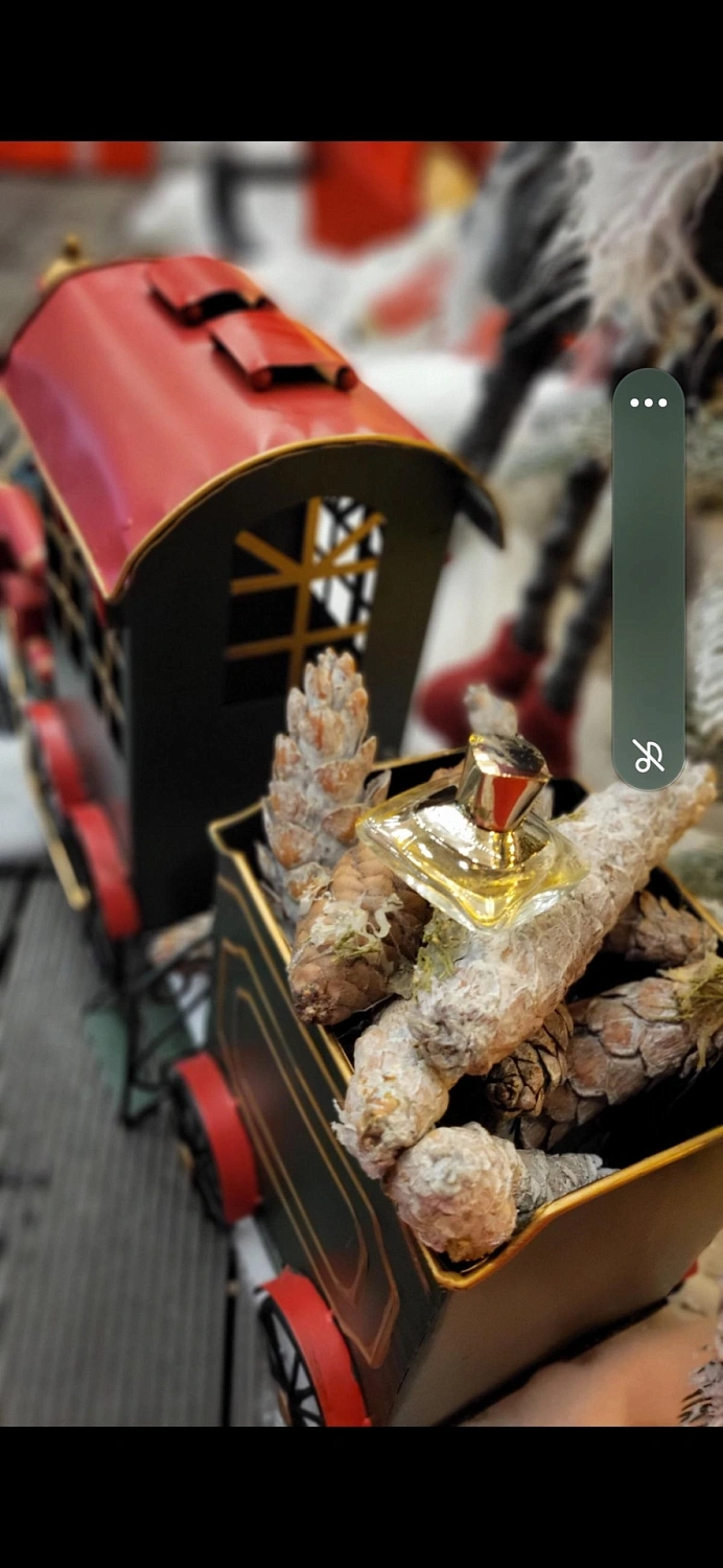 Salvatore Ferragamo Signorina Eleganza