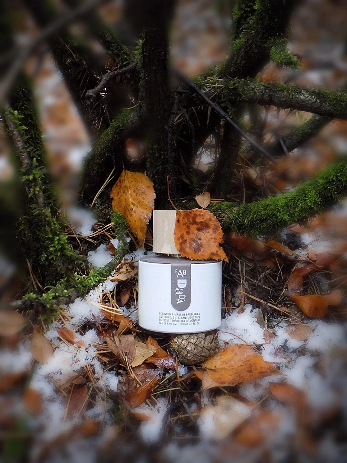 Santi Burgas Eau Dada