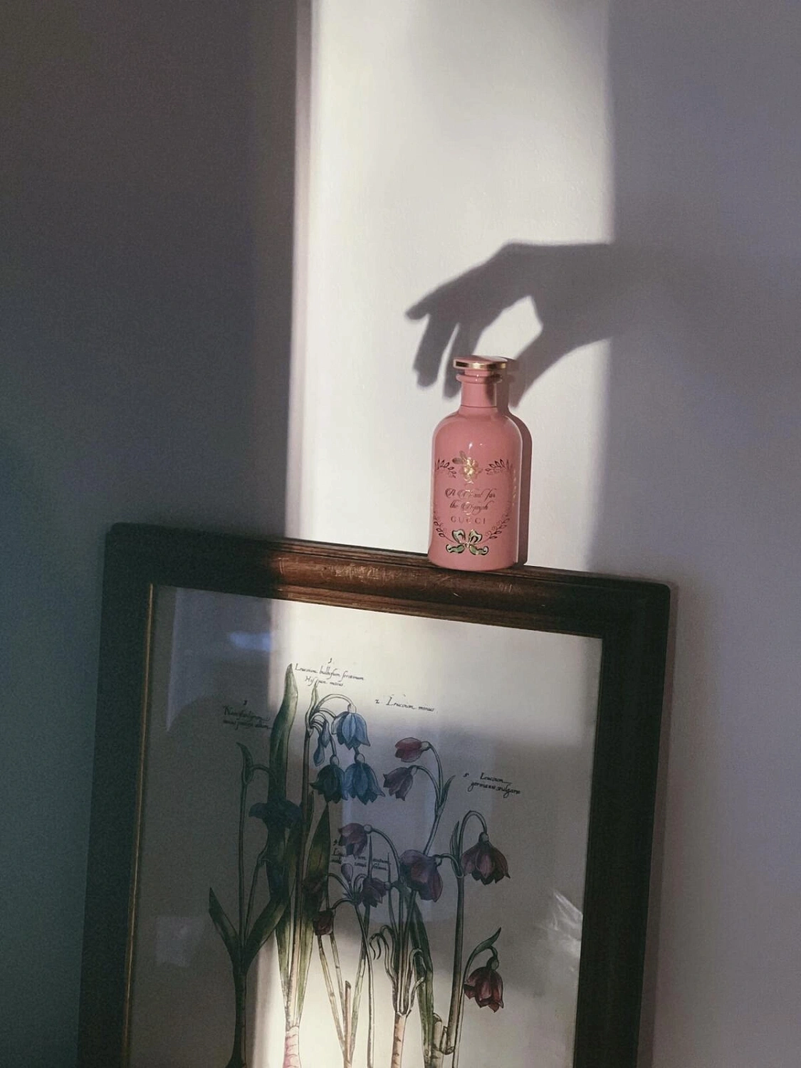 GUCCI A Chant for the Nymph