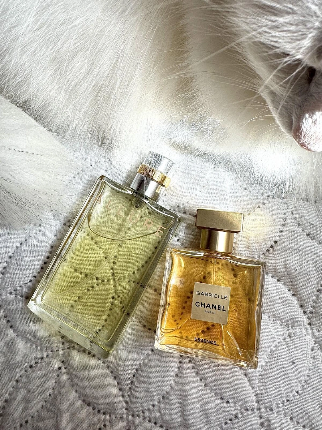 Chanel Allure Chanel Allure