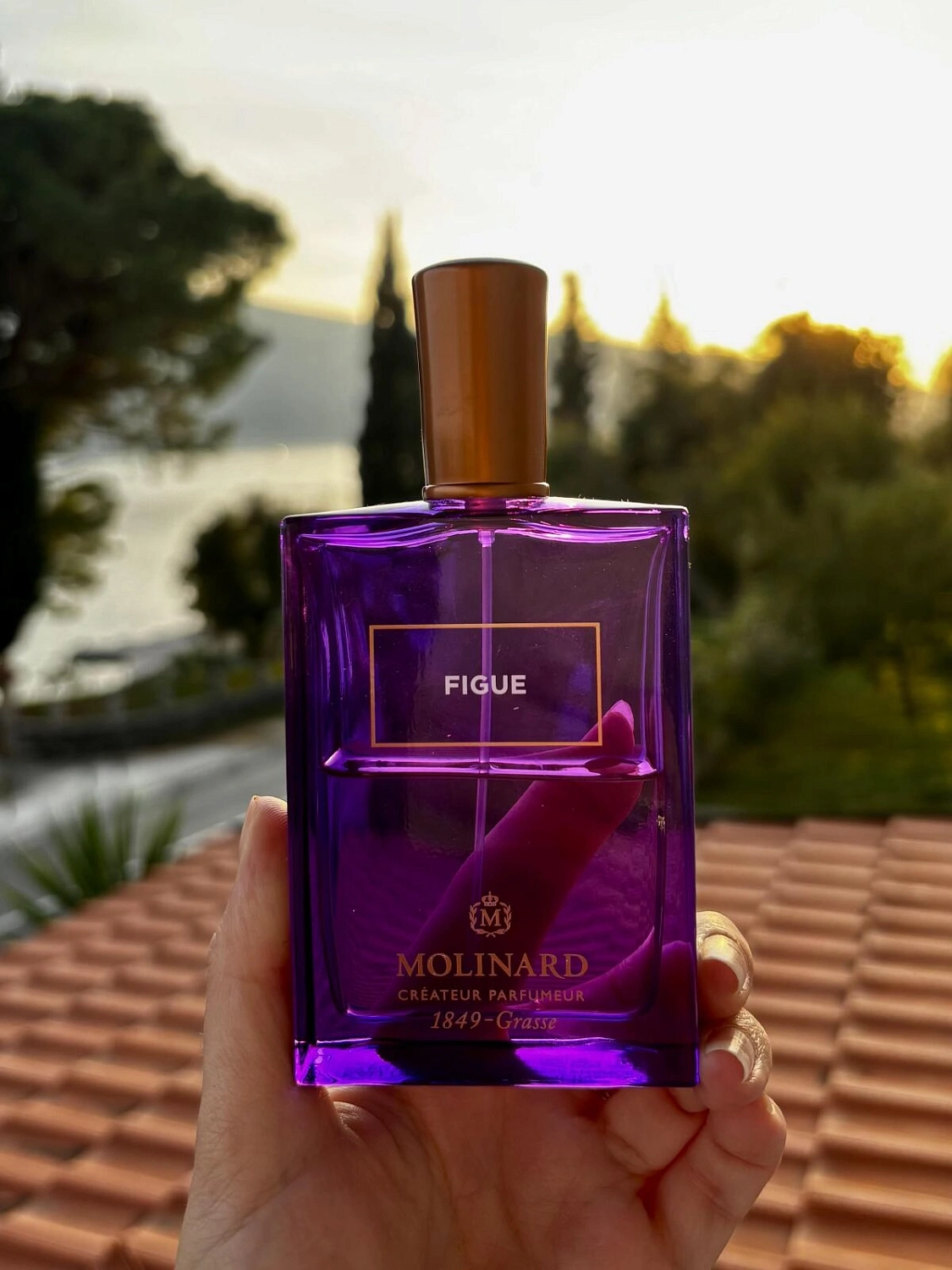 Molinard Figue Eau de Parfum