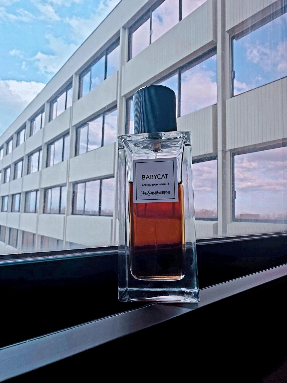 Yves Saint Laurent Babycat