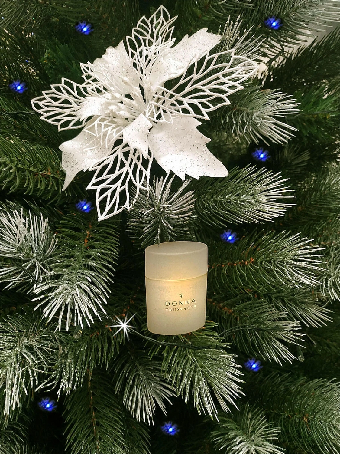 Donna Trussardi 2011