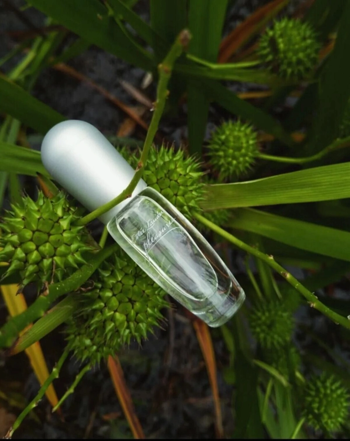 Estee Lauder Pleasures