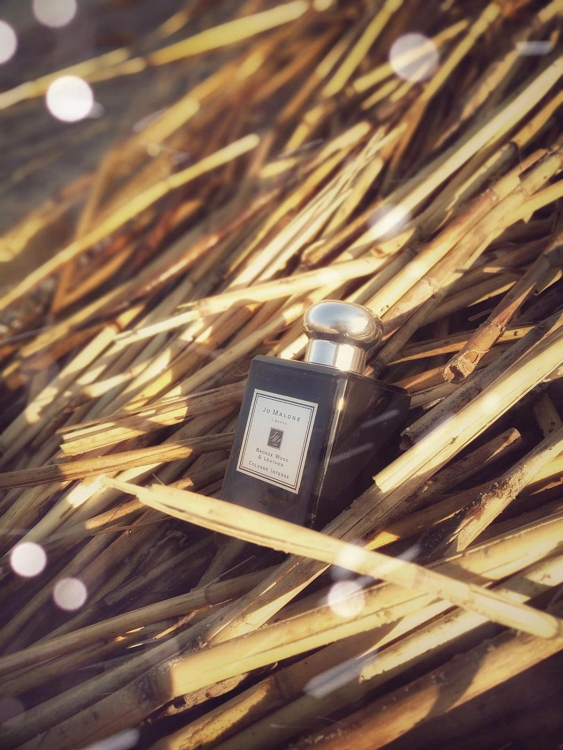 Jo Malone Bronze Wood & Leather