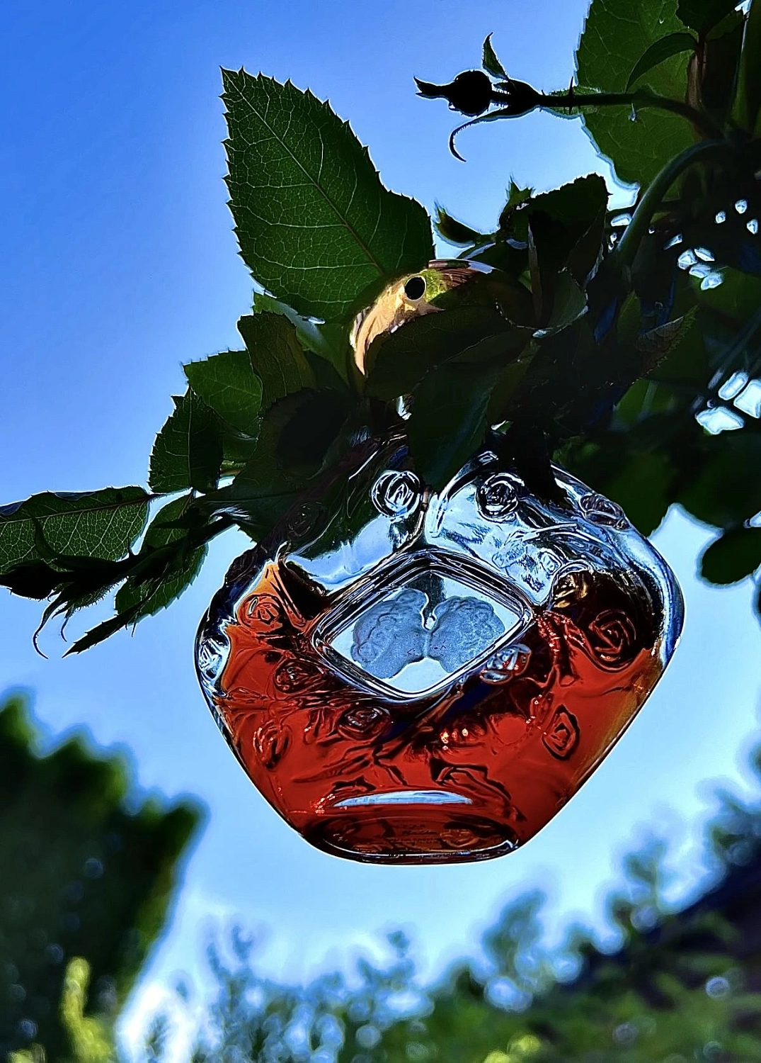 Lalique Le Baiser Lalique Le Baiser