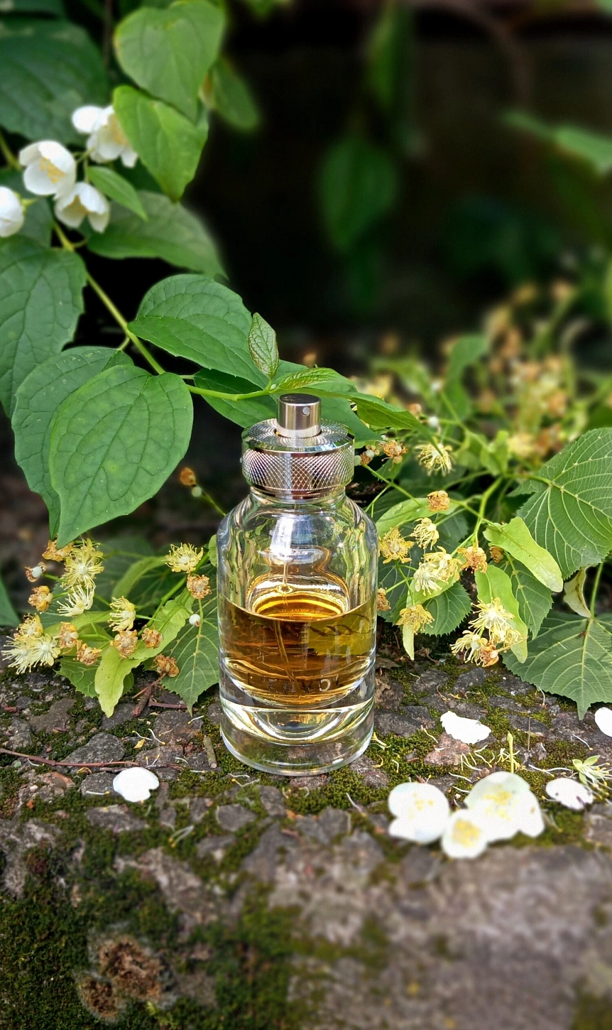 Cartier L'Envol