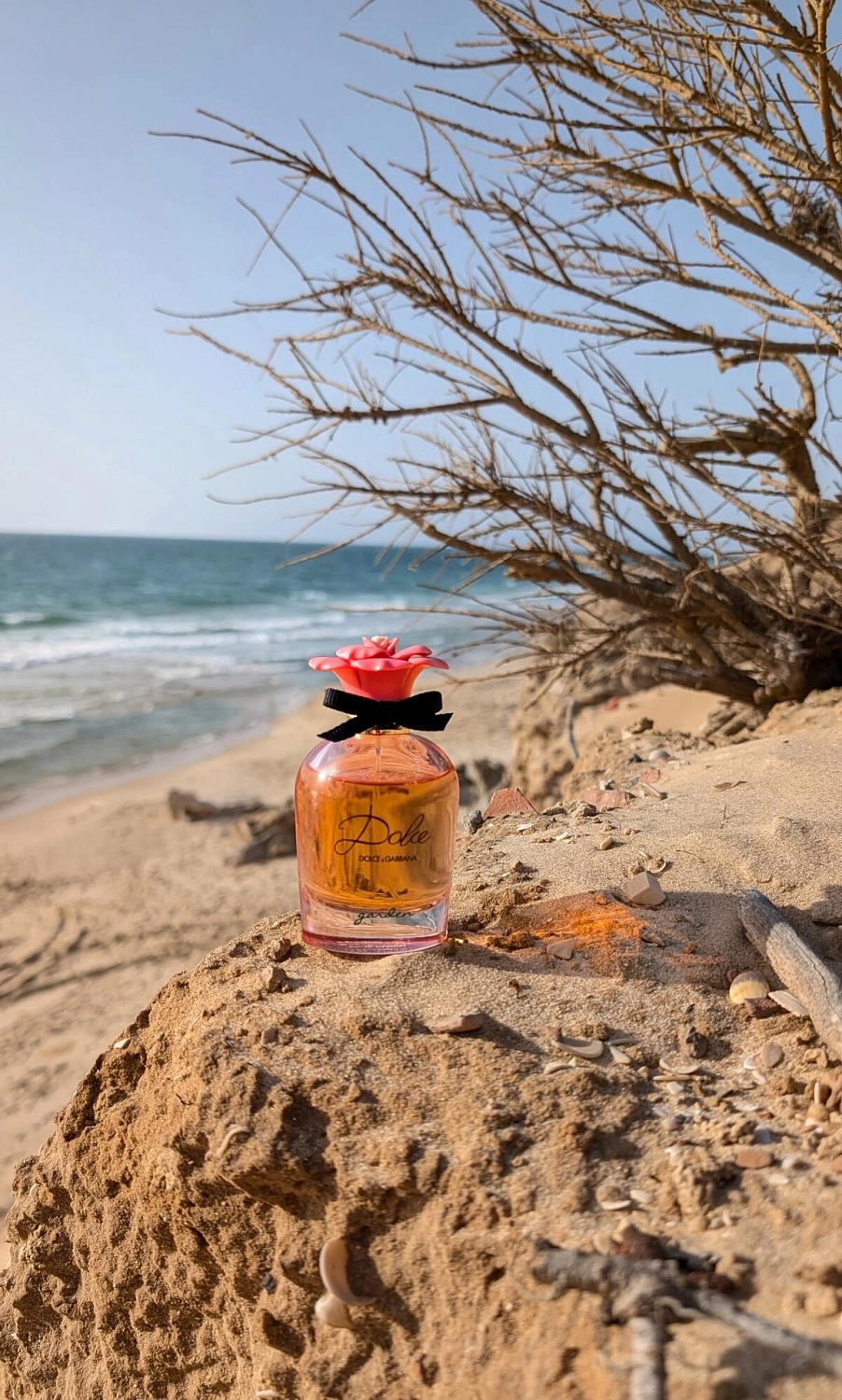 DOLCE & GABBANA Dolce Garden