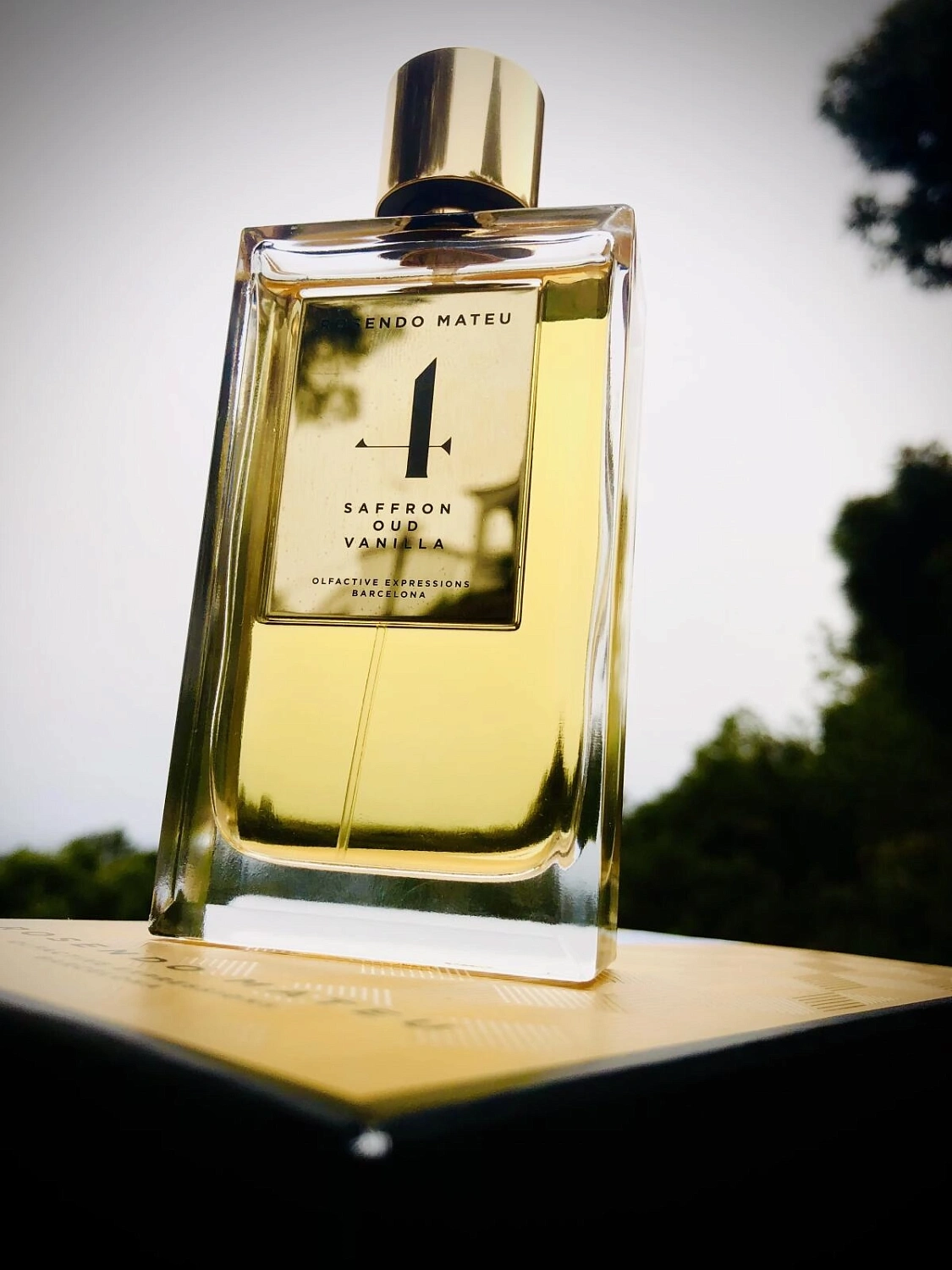 Rosendo Mateu Olfactive Expressions Rosendo Mateu Nº 4 Saffron, Oud, Vanilla