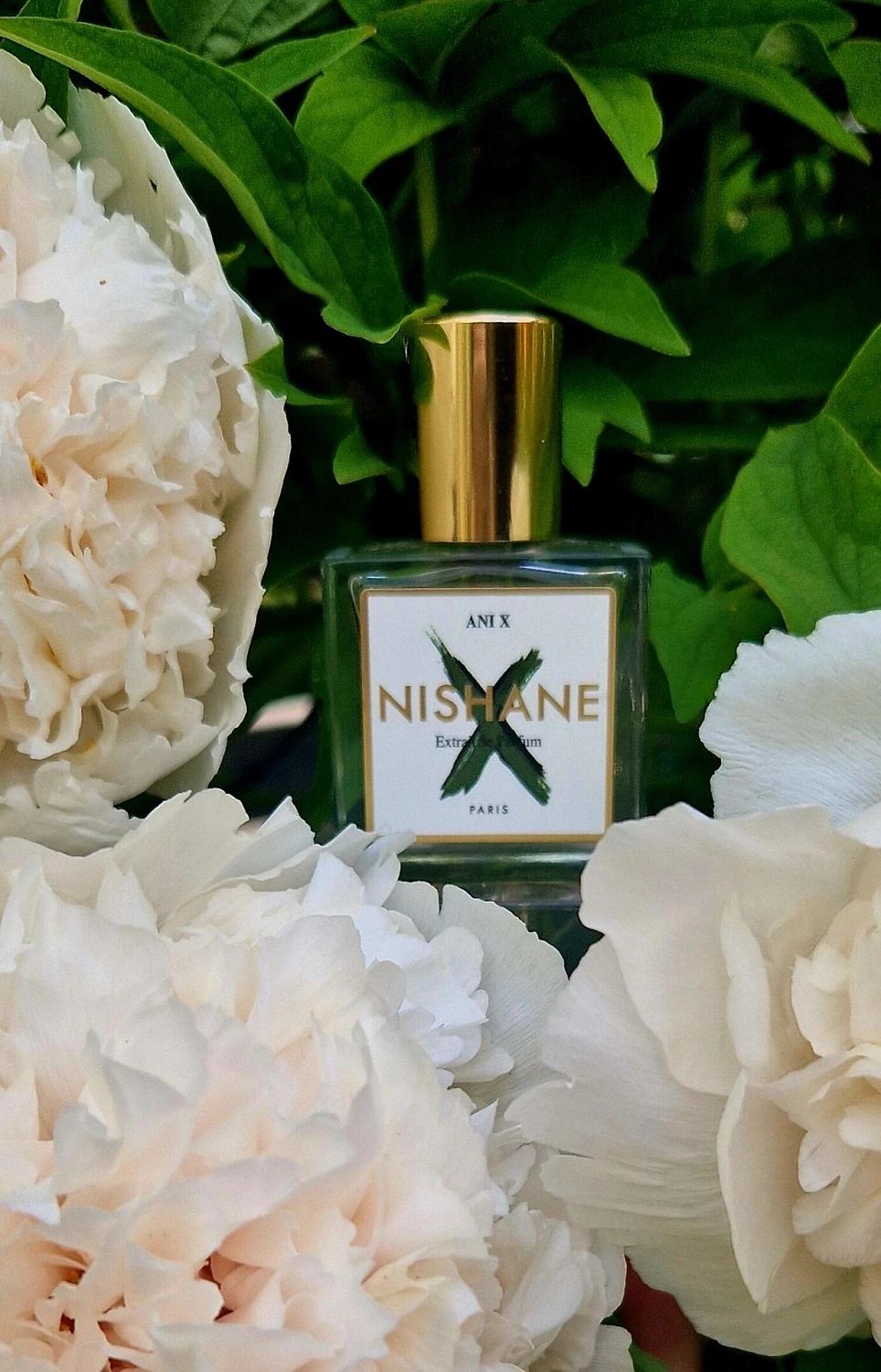 Nishane Ani X