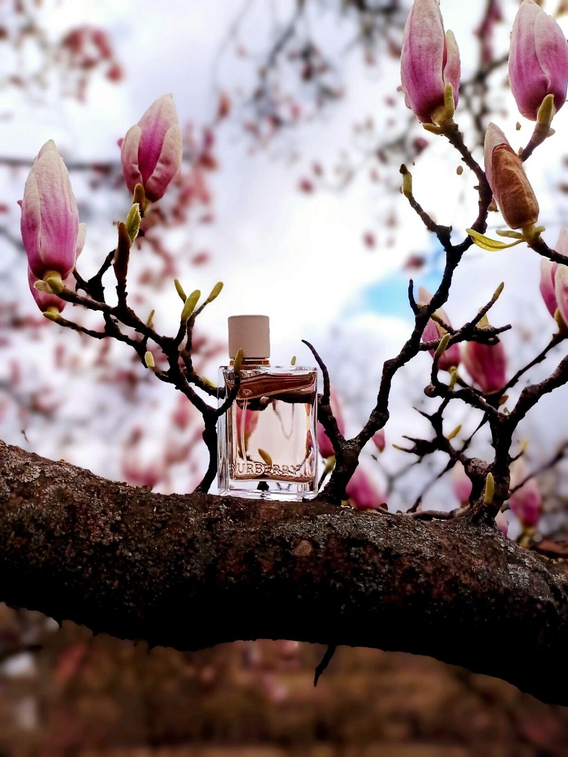Burberry Her Burberry Her