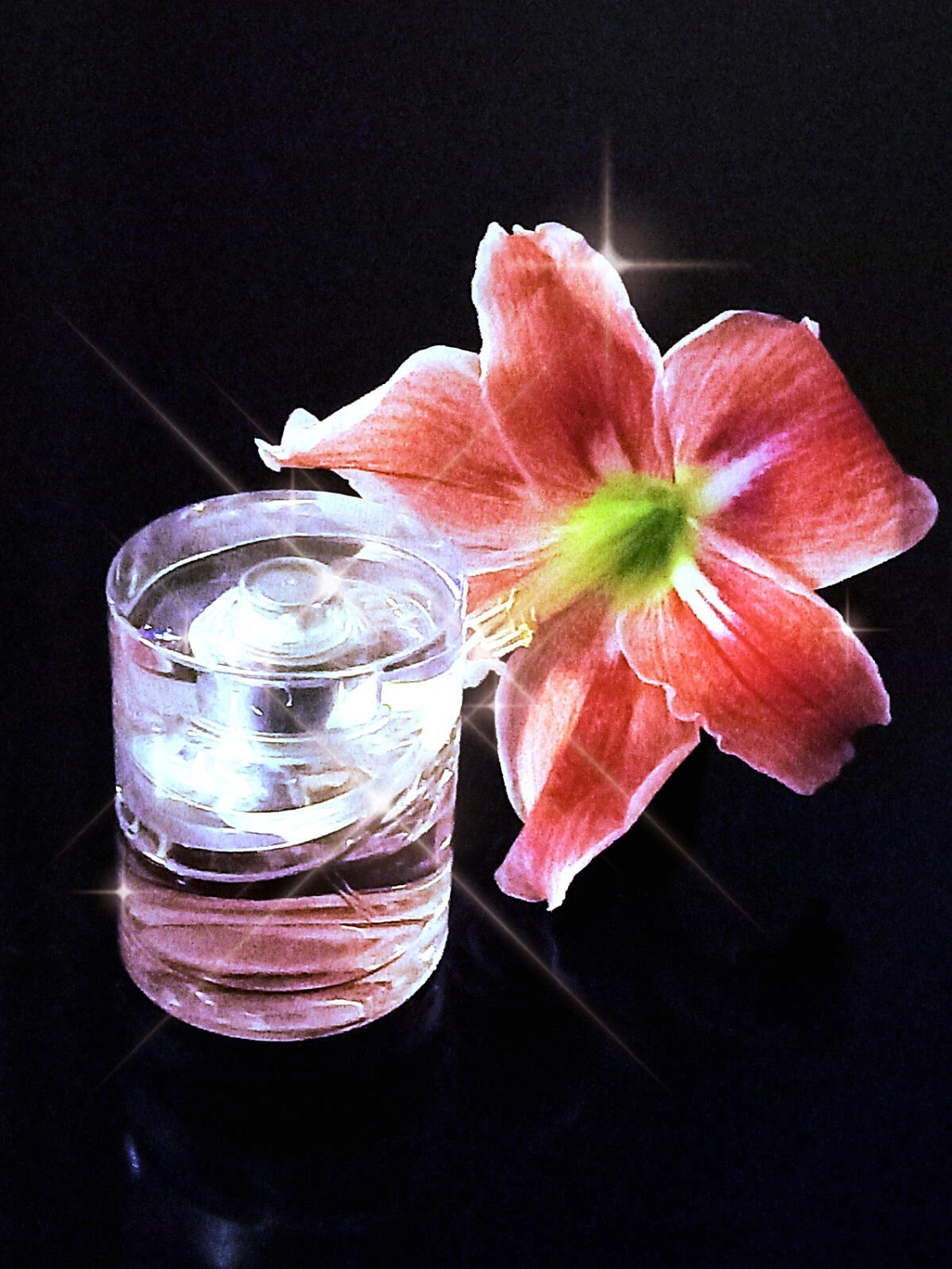 HUGO BOSS Boss Femme