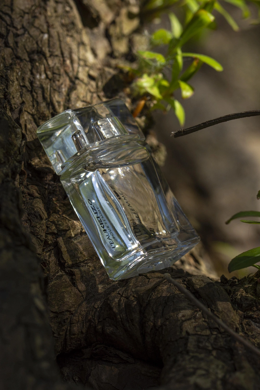 L'Eau par Kenzo Pour Femme