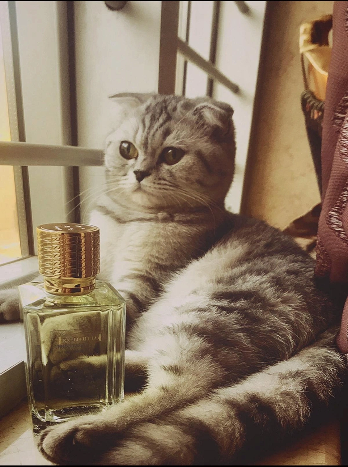 Ex Nihilo Gold Immortals