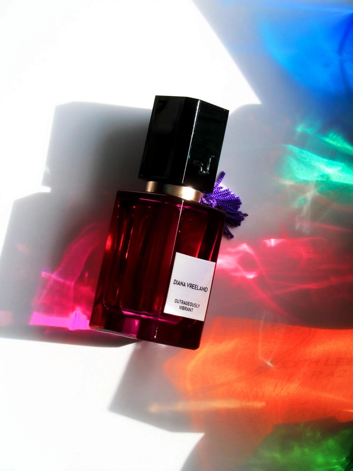 Diana Vreeland Outrageously Vibrant