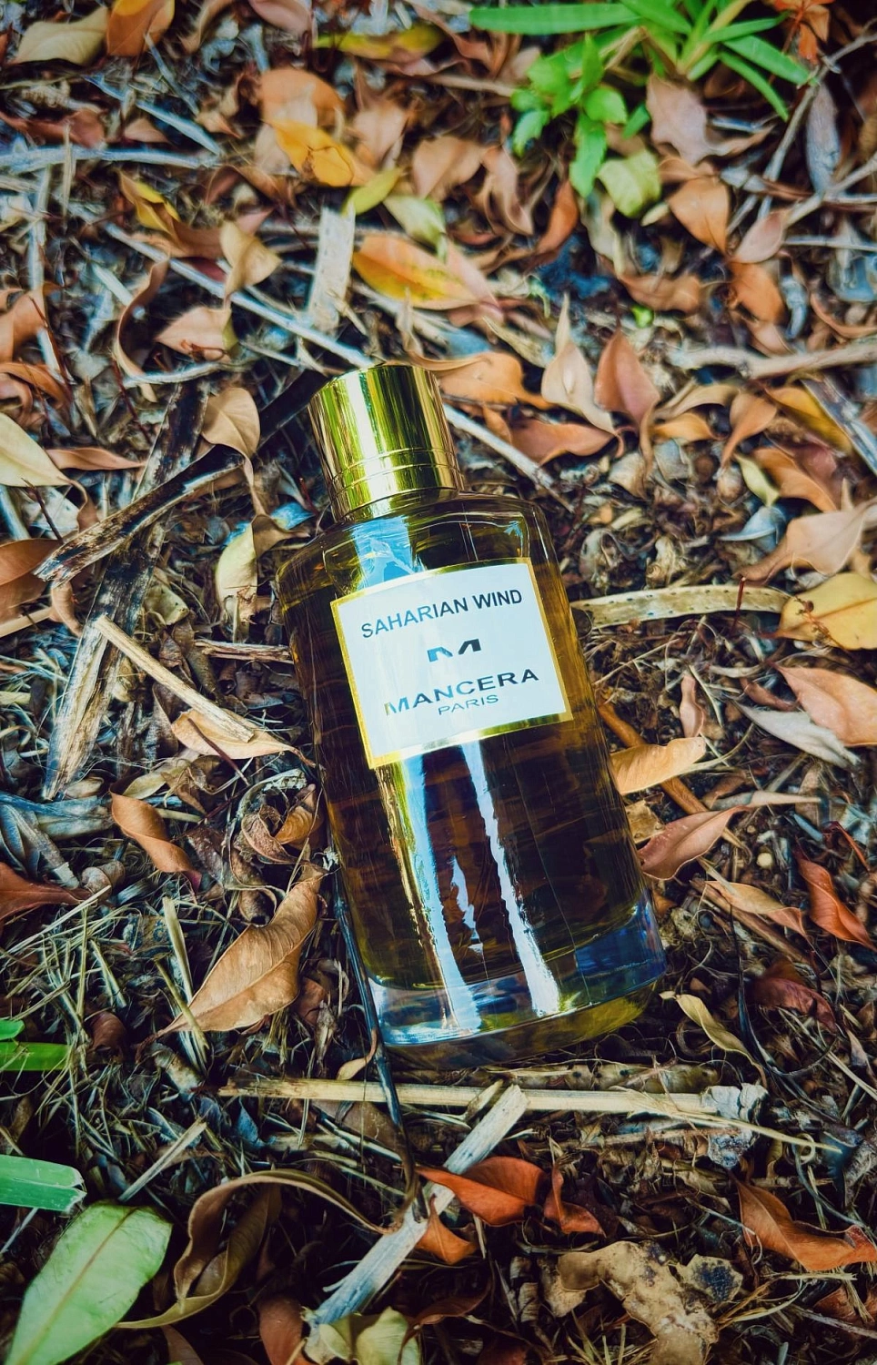 Mancera Saharian Wind