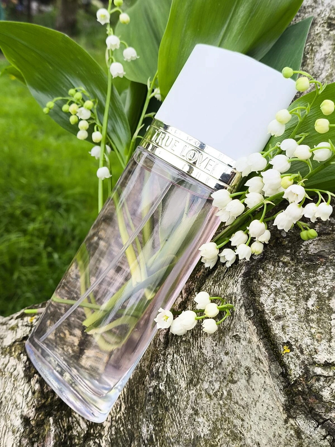 Elizabeth Arden True Love