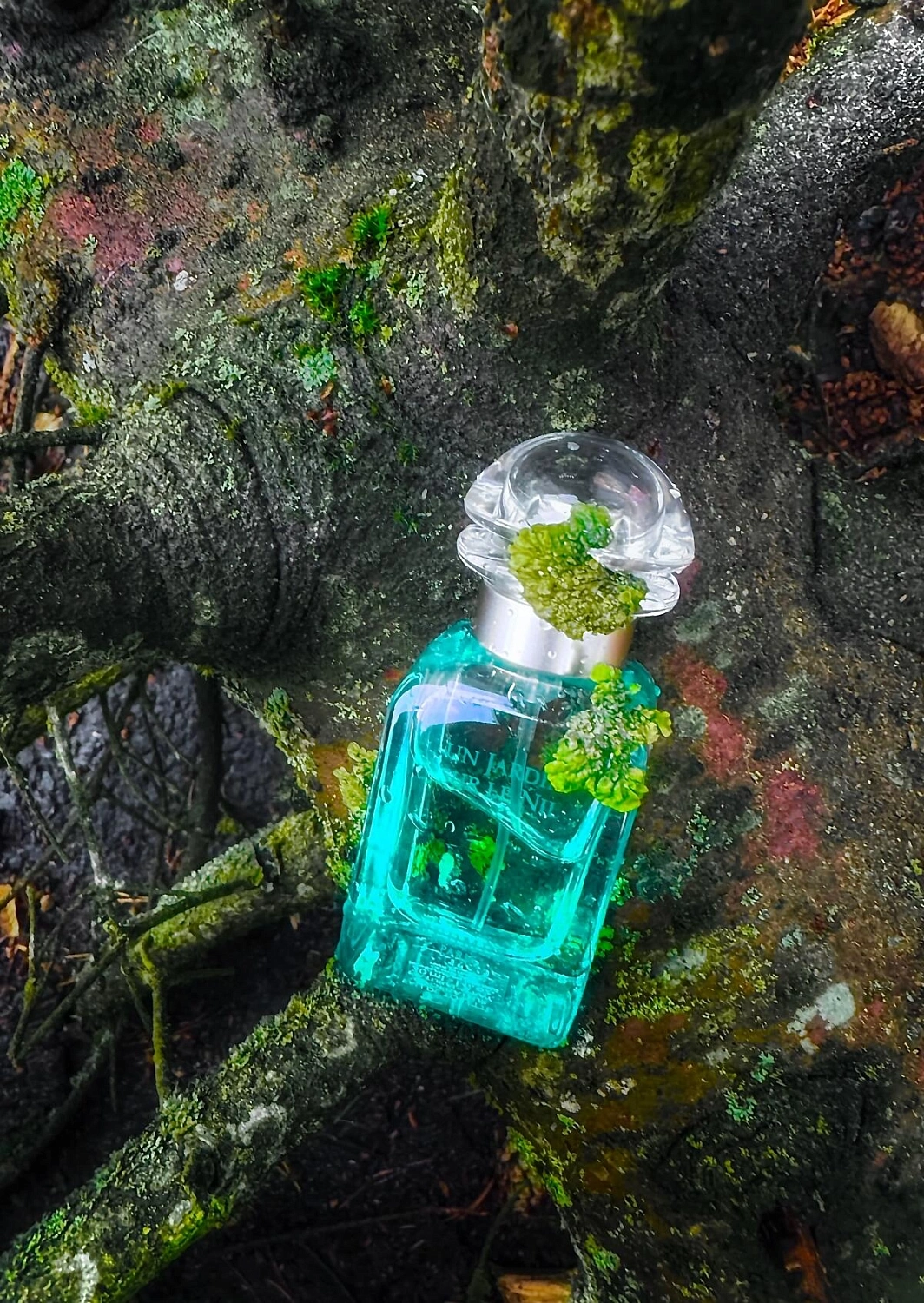 Hermes Un Jardin sur le Nil